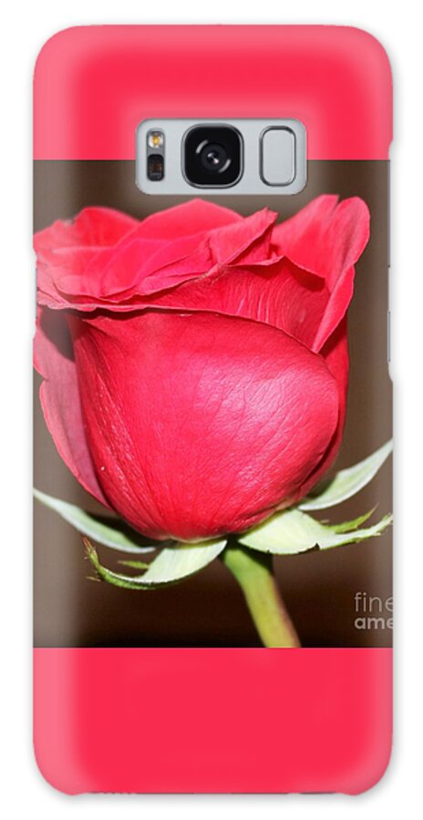 Rose Galaxy Case featuring the photograph A Rose By Any Other Name... by Diann Fisher