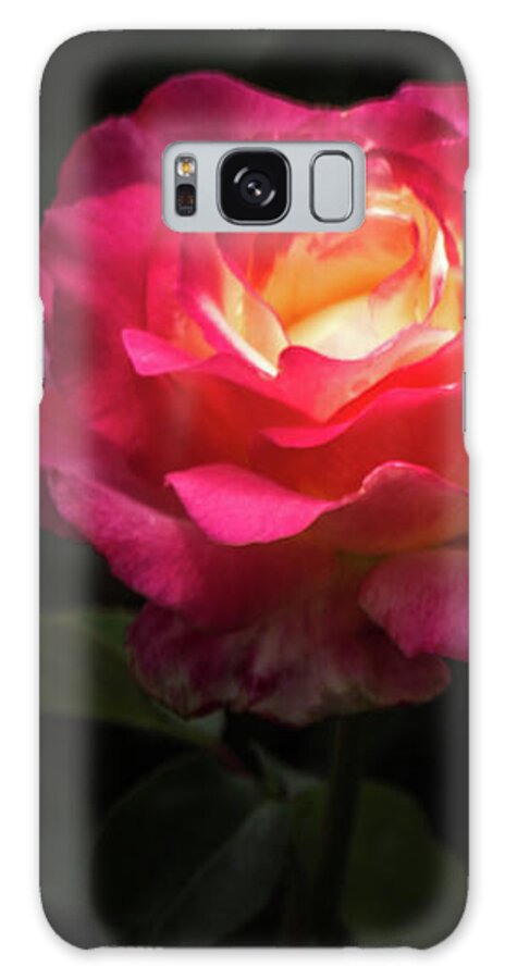 Rose Galaxy S8 Case featuring the photograph A Rose for Love by Ed Clark