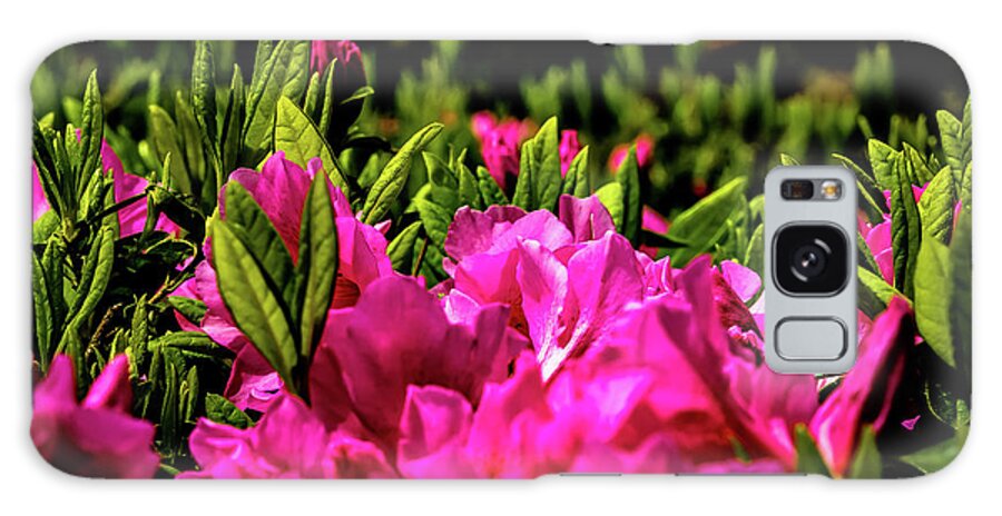Flowers Galaxy Case featuring the digital art A Sea of Pink by Ed Stines