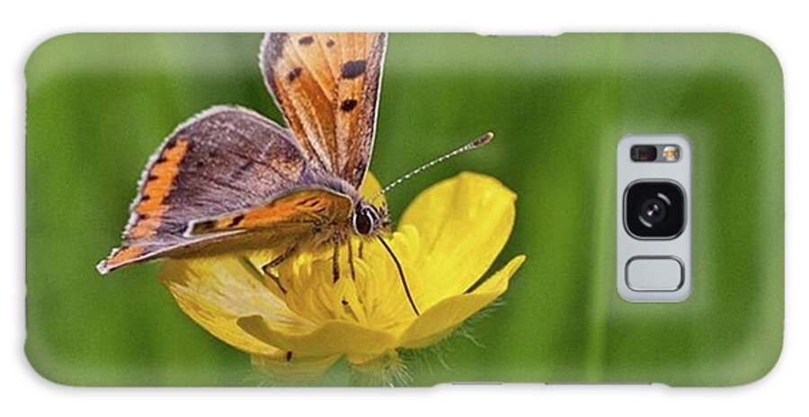 Insect Galaxy Case featuring the photograph A Small Copper Butterfly (lycaena by John Edwards