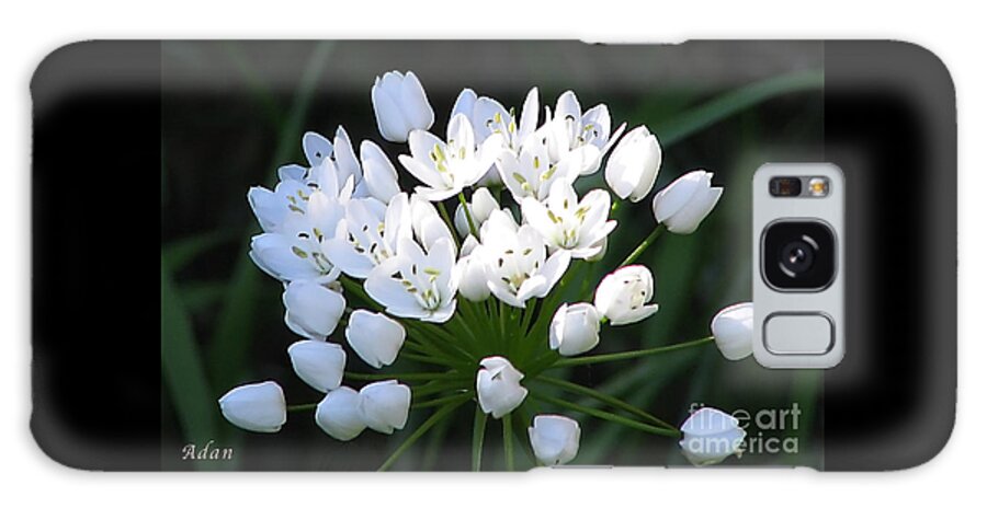 Spring Florals Galaxy Case featuring the photograph A Spray of Wild Onions by Felipe Adan Lerma