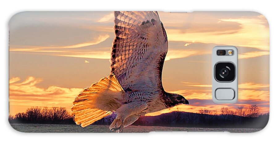  Red Tail Hawk Galaxy Case featuring the photograph A Sunset Flight by M Three Photos
