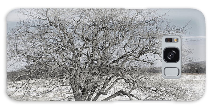 Tucker County Galaxy Case featuring the photograph A Tree In Canaan by Randy Bodkins