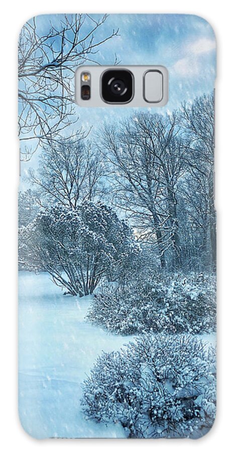 Snow Galaxy Case featuring the photograph A Winters Tale by Jill Love