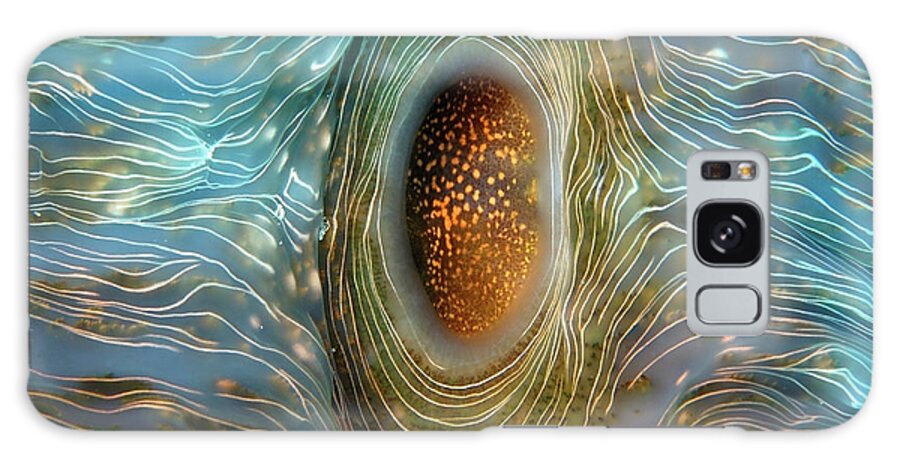 Abstract Galaxy Case featuring the photograph Abstract clam by Artesub
