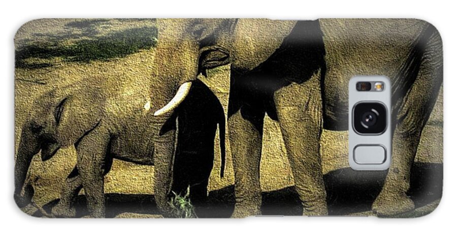 Elephants Galaxy Case featuring the photograph Abstract Elephants 23 by Kristalin Davis by Kristalin Davis