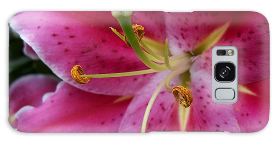 Flower Galaxy Case featuring the photograph Abstract Pink Lily3 by Corinne Elizabeth Cowherd