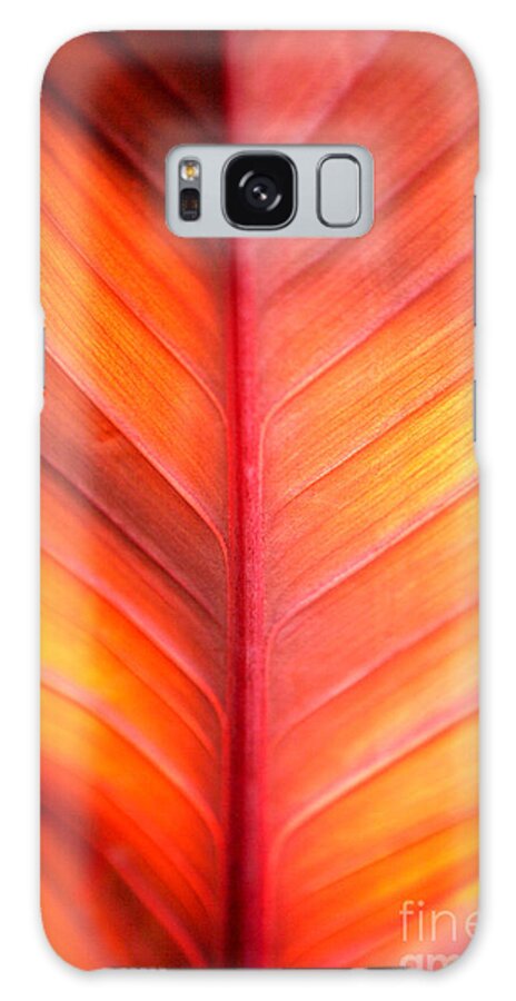Pattern Galaxy Case featuring the photograph Abstract by Tony Cordoza