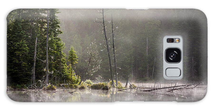 Art Galaxy Case featuring the photograph Adirondack Dream by Gary Migues