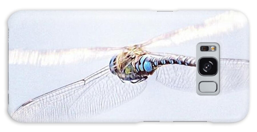 Dragonfly Galaxy Case featuring the photograph Aeshna Juncea - Common Hawker In by John Edwards