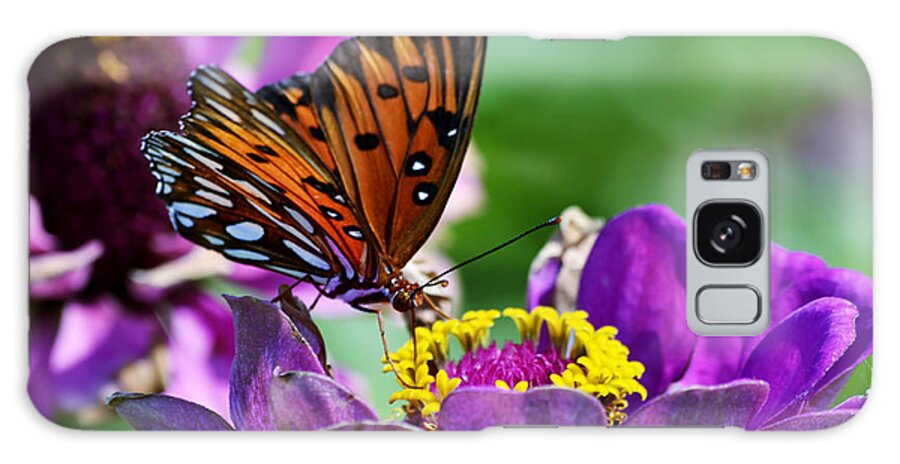 Naples Botanical Garden Galaxy Case featuring the photograph Afternoon Delight by Melanie Moraga
