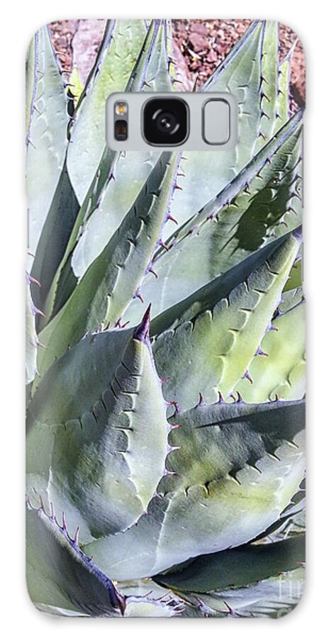 Agave Galaxy Case featuring the photograph Agave by Anthony Citro