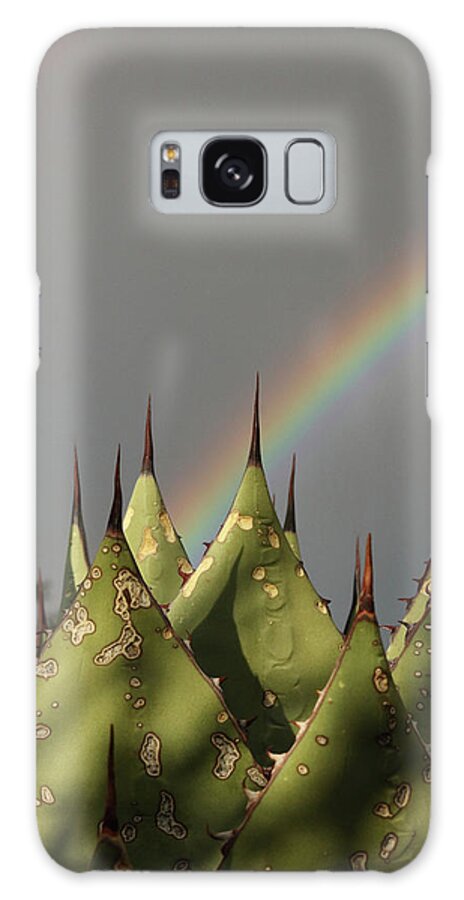 Agave Galaxy Case featuring the photograph Agave Rainbow by David Diaz