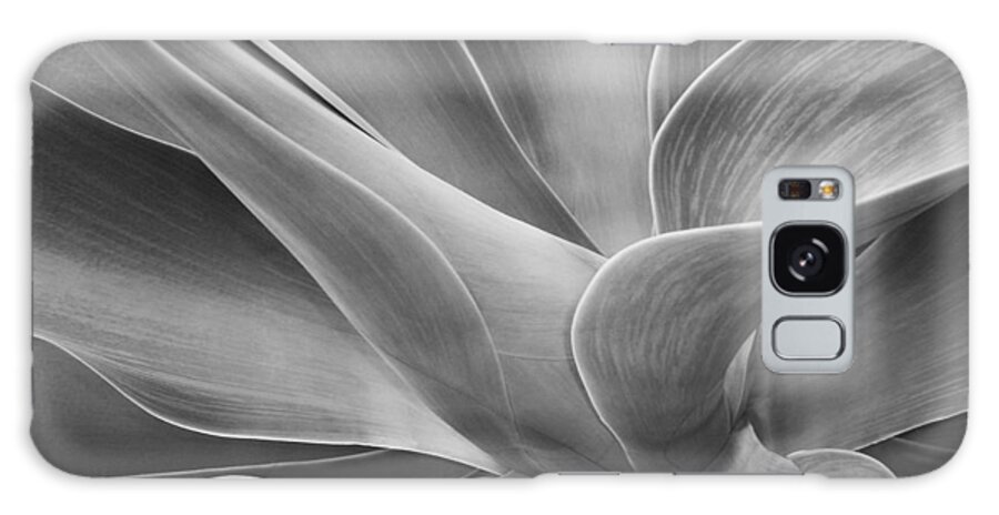 Agave Galaxy Case featuring the photograph Agave Shadows and Light by Bel Menpes