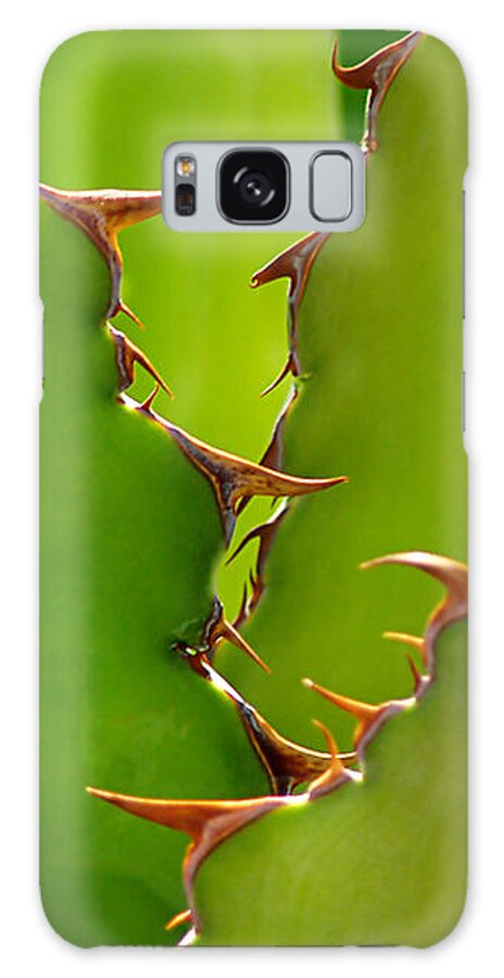 Arizona Galaxy S8 Case featuring the photograph Agave Shark by Steven Myers