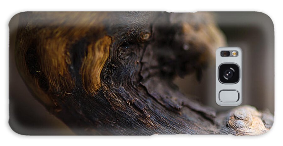 Drift Wood Galaxy Case featuring the photograph Ageing by Robert McKay Jones