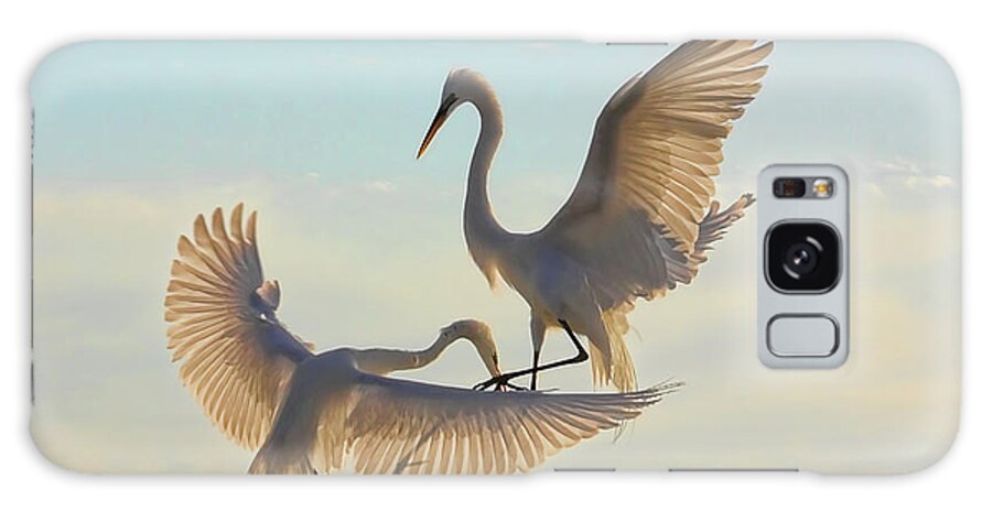 Great Egret Galaxy Case featuring the photograph Air Dance by HH Photography of Florida
