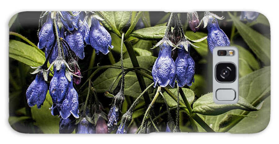 Wildflower Galaxy Case featuring the photograph Alaskan Bluebell by Fred Denner