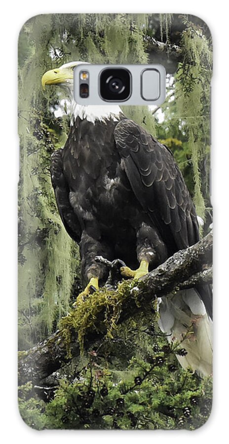 Eagle Galaxy S8 Case featuring the photograph Alaskan Regality by Don Mennig