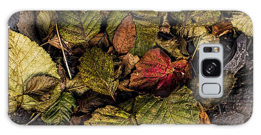 Leaves Galaxy Case featuring the photograph Alder Leaves Dan Creek 2015 by Fred Denner