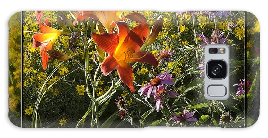 Daylillies Galaxy Case featuring the photograph Alice's Daylillies by Rod Melotte