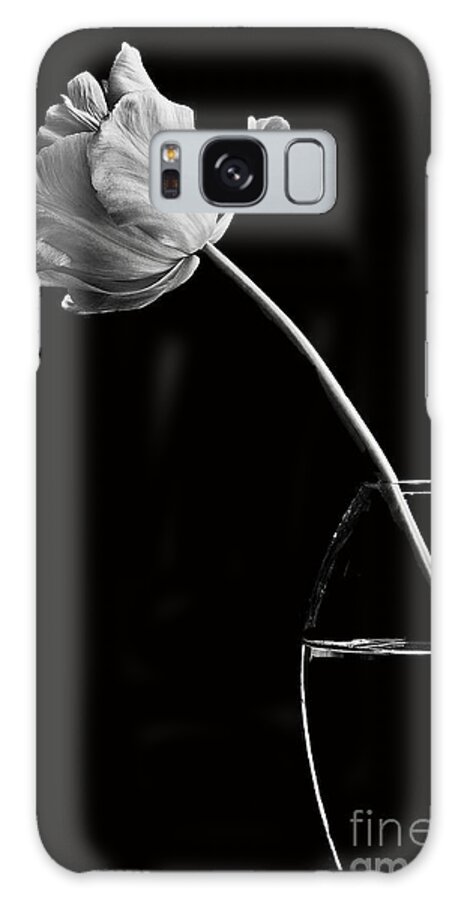 Tulip Galaxy S8 Case featuring the photograph All alone by Marion Galt