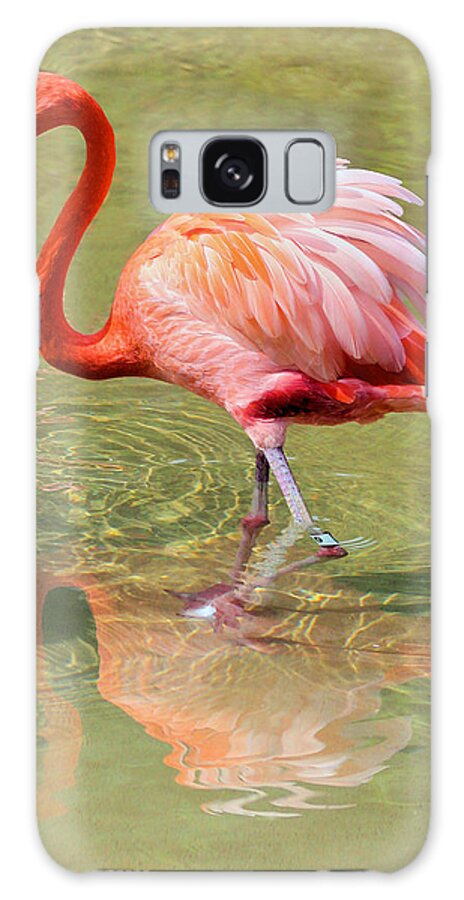 Flamingo Galaxy Case featuring the photograph All Ruffled Up by Kristin Elmquist