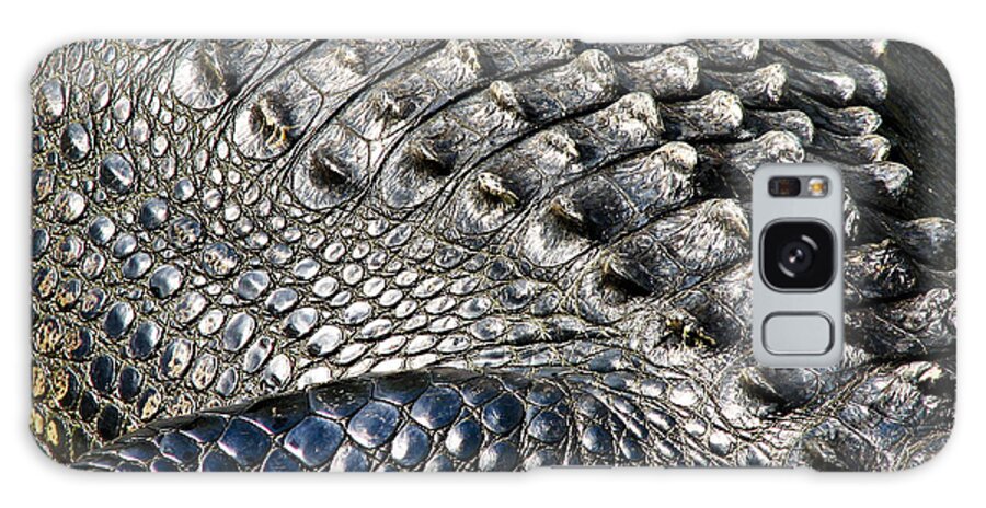 Alligator Galaxy Case featuring the photograph Alligator by Neil Pankler