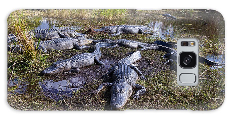 Nature Galaxy Case featuring the photograph Alligators 280 by Michael Fryd