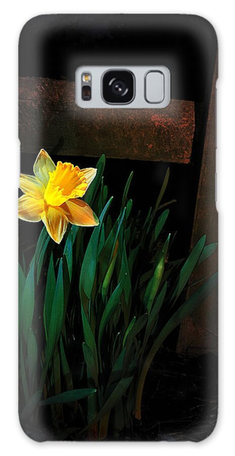 Daffodil Galaxy S8 Case featuring the photograph Alone In The Dark by Mark Fuller