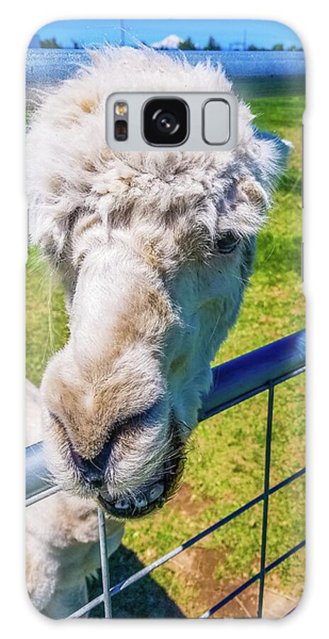Alpaca Galaxy Case featuring the photograph Alpaca Yeah by Jonny D