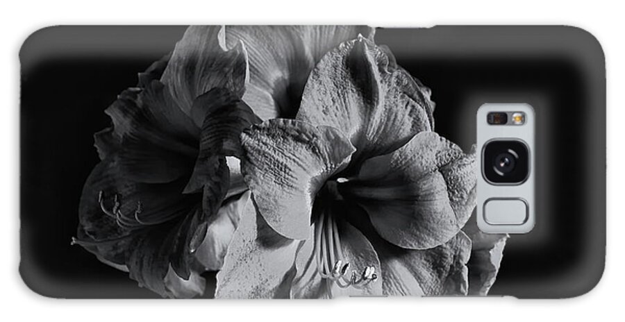 Amaryllis Galaxy Case featuring the photograph Amaryllis Monochrome by Jeff Townsend
