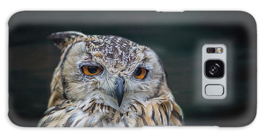 Indian Eagle-owl Galaxy Case featuring the photograph Amber Eyes at Night by Eva Lechner