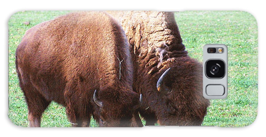 Photo Galaxy Case featuring the photograph American Bison Photo by Linda Phelps