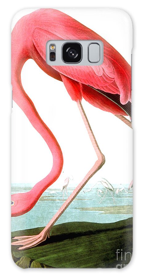 Bird Galaxy Case featuring the painting American Flamingo by John James Audubon