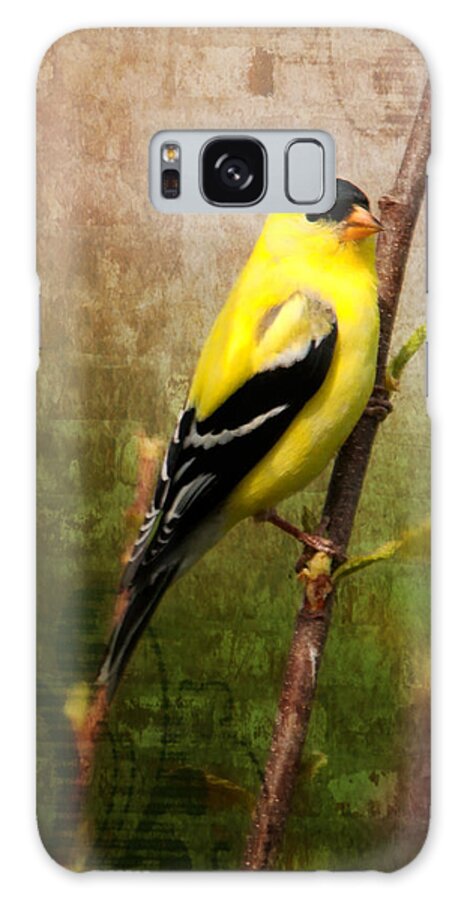 American Goldfinch Galaxy Case featuring the photograph American Goldfinch by Al Mueller