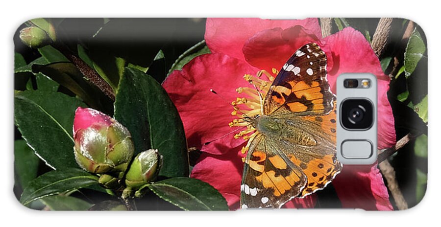 American Painted Lady Butterfly Galaxy Case featuring the photograph American Painted Lady on Camelia by Ronda Ryan