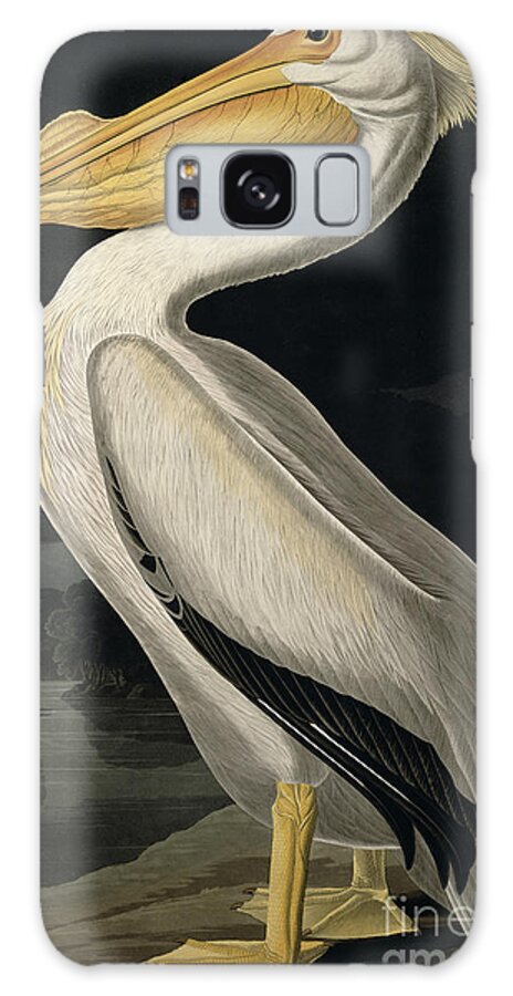 American White Pelican Galaxy Case featuring the painting American White Pelican by John James Audubon