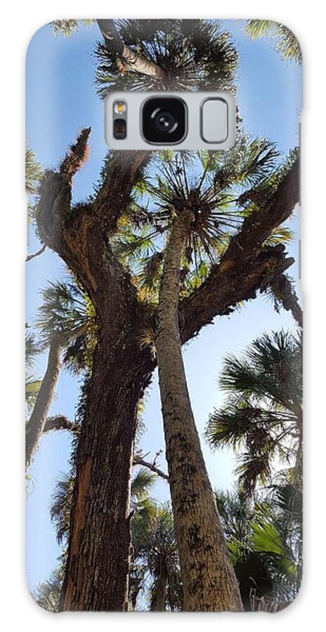 Trees Galaxy Case featuring the photograph An ants eye view by Lindsey Floyd