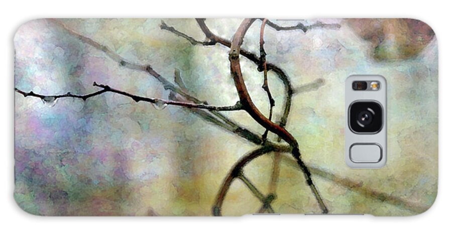 Twig Galaxy Case featuring the photograph An Interesting Path 7923 IDP_2 by Steven Ward