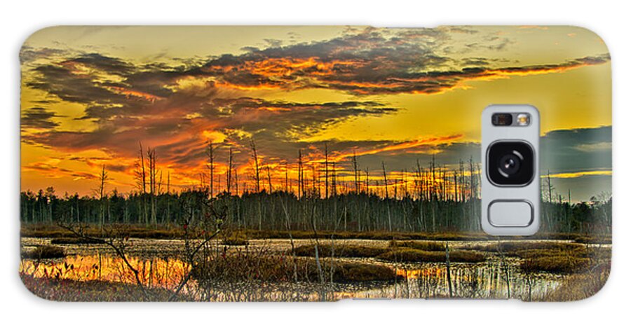 Fall Galaxy Case featuring the photograph An November Sunset in the Pines by Louis Dallara