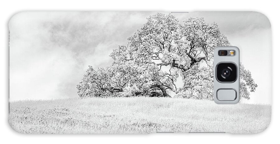 Clouds Galaxy Case featuring the photograph Ancient Oak by Dean Birinyi