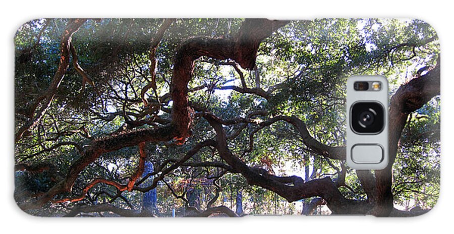 Photography Galaxy Case featuring the photograph Angel Oak side view by Susanne Van Hulst