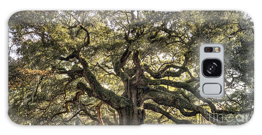 Angel Oak Tree Galaxy S8 Case featuring the photograph Angel Oak Tree Live Oak by Dustin K Ryan