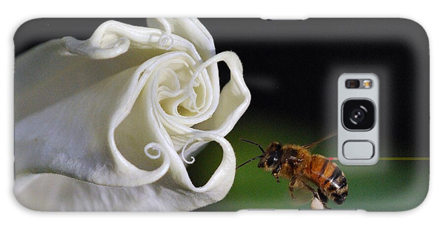 Angel Trumpet Galaxy Case featuring the photograph Angel Trumpet by Diane Giurco