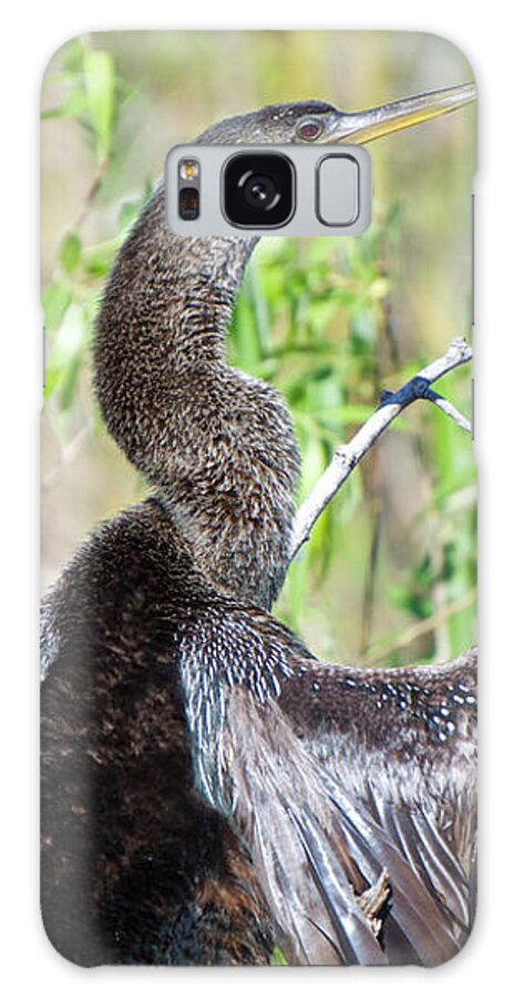 Darter Galaxy Case featuring the photograph Anhinga Up Close by Judy Kay