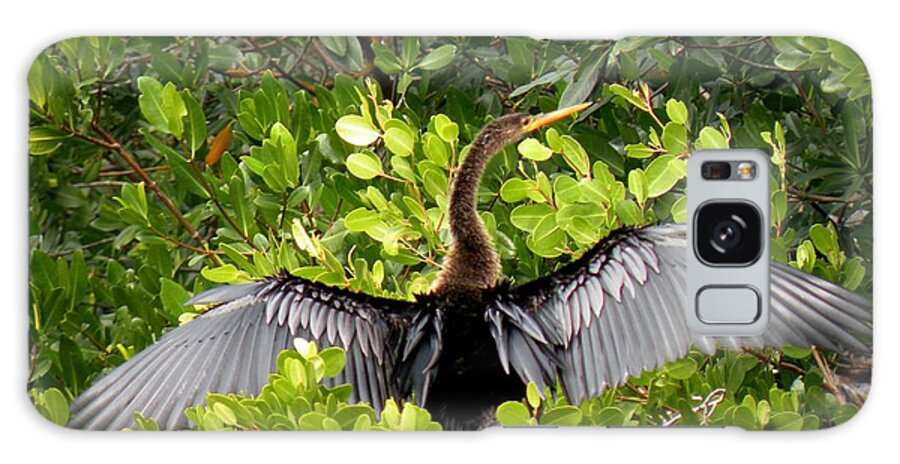 Bird Galaxy Case featuring the photograph Anhinga with Silver Wings by Rosalie Scanlon