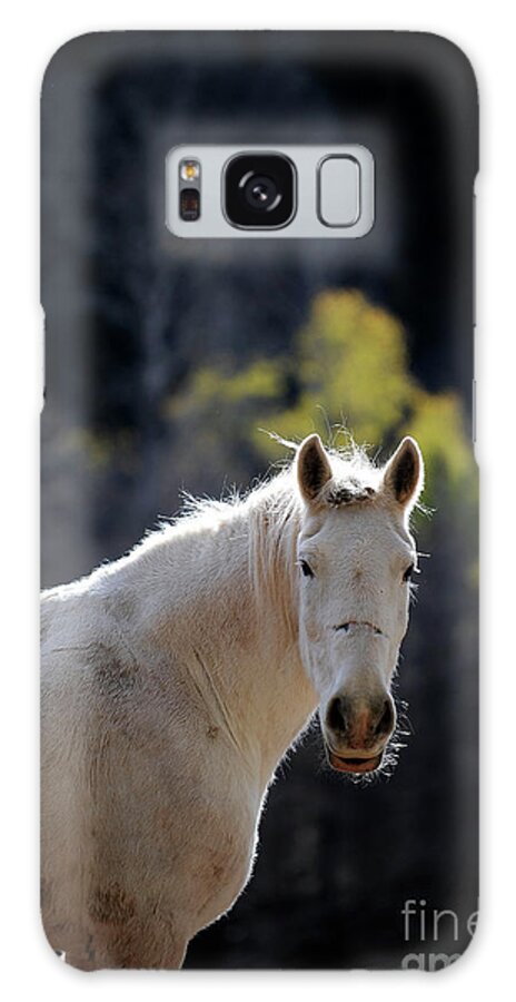 Rosemary Farm Galaxy Case featuring the photograph Annie #2 by Carien Schippers
