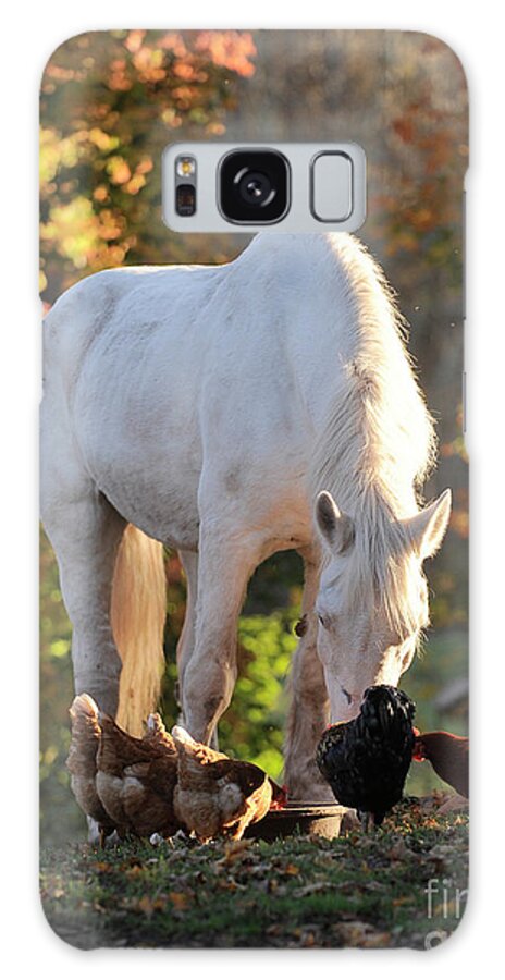Rescue Horse Galaxy Case featuring the photograph Annie and the Hens by Carien Schippers