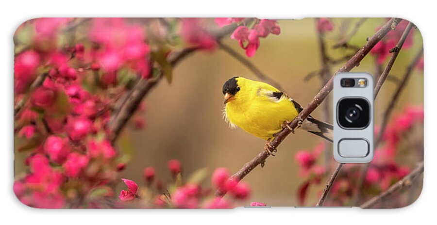 Fine Art America Galaxy Case featuring the photograph Announcing Spring by Scott Bean